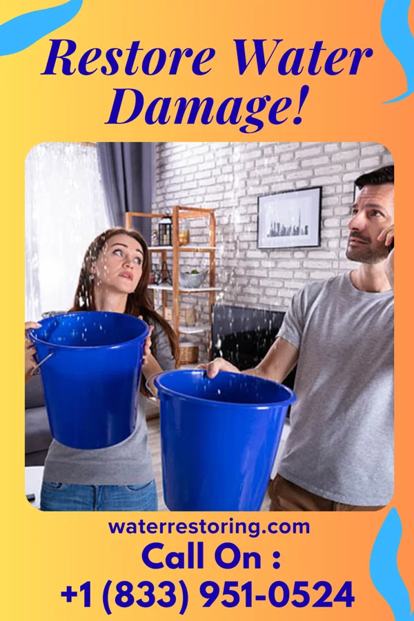 water restoration Lightning Water Removal Experts Warm Springs