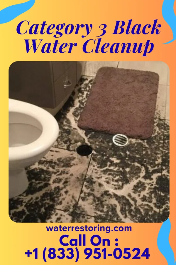 Category 3 Black Water Cleanup in Warm Springs, GA